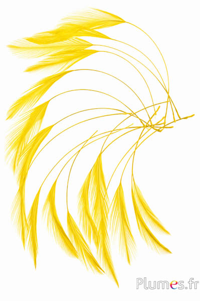 Gallo - 10-15 cm - giallo